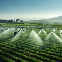 Sustainable Harvests: Designing On-Farm Reservoirs for Efficient Water Irrigation